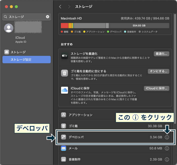 「システム設定」の「ストレージ」から、一覧表示された「デベロッパ」の「i」マークをクリックする。