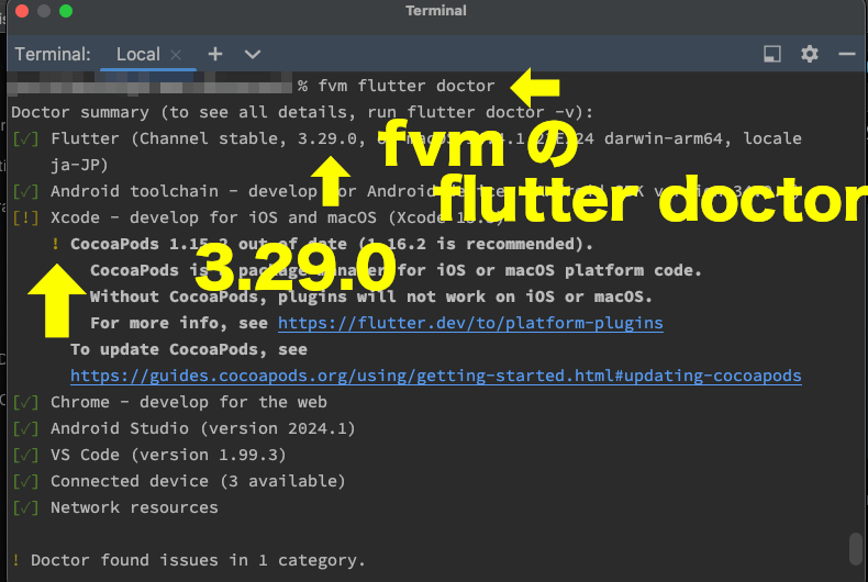 fvm flutter doctorで、プロジェクトのエラーを確認したターミナル画面