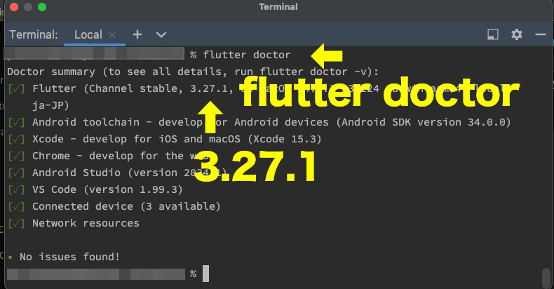 fvmなしのflutter doctorで、Flutter3.27.1プロジェクトでのエラー確認したターミナル画面。古いSDKならエラーがないことがわかる。